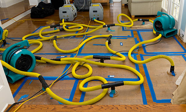 Professional Structural Drying And Dehumidification technician working in Lacombe, LA